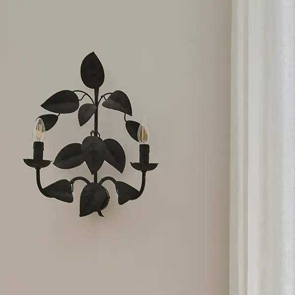 Image 13 description