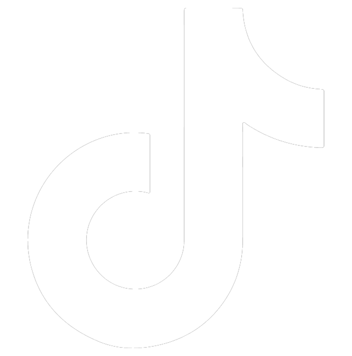 TikTok Icon